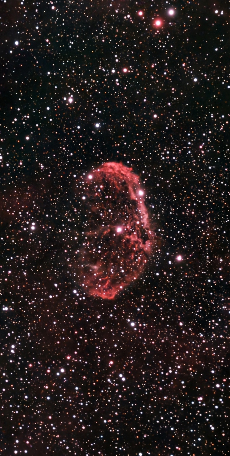 Caldwell 27 - The Crescent Nebula - 23rd September